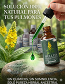 Extracto de Gordolobo con Clorofila — Suplemento  Natural para la Salud Pulmonar