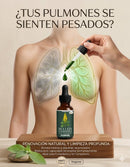 Extracto de Gordolobo con Clorofila — Suplemento  Natural para la Salud Pulmonar