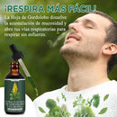 Extracto de Gordolobo con Clorofila — Suplemento  Natural para la Salud Pulmonar