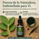 Extracto de Gordolobo con Clorofila — Suplemento  Natural para la Salud Pulmonar
